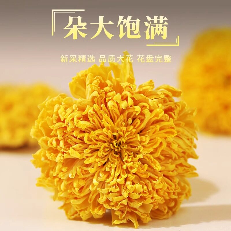 茗愿菊花茶婺源徽州皇菊金丝黄菊球形一朵一杯非特级头采大花花茶