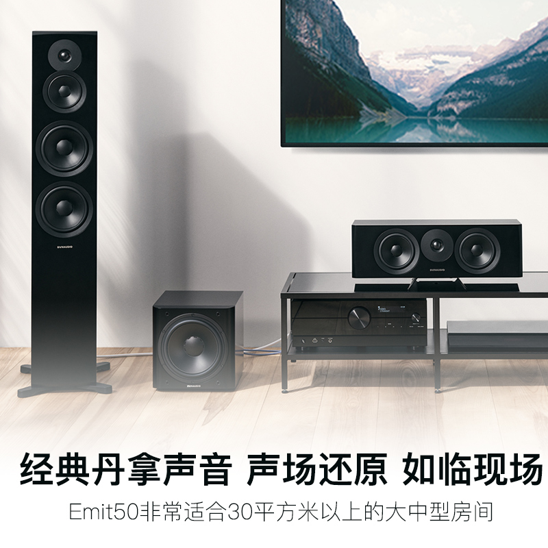 Dynaudio/丹拿新意境系列 New Emit 50 HiFi落地音箱无源发烧音箱-图1