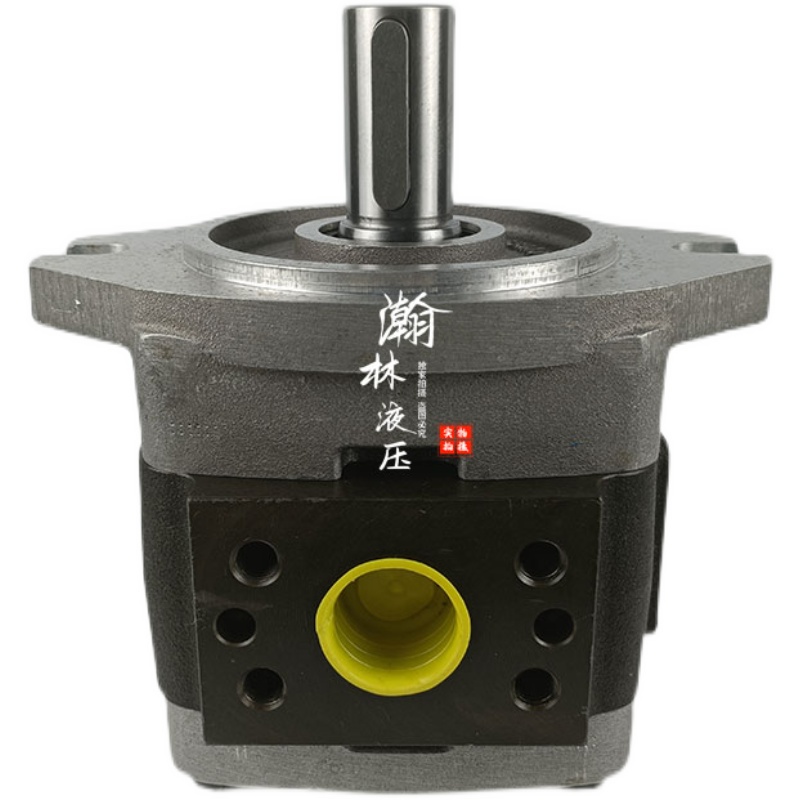 原装德国voith福伊特IPVAP5-40 101注塑机伺服齿轮泵压铸机泵 - 图3