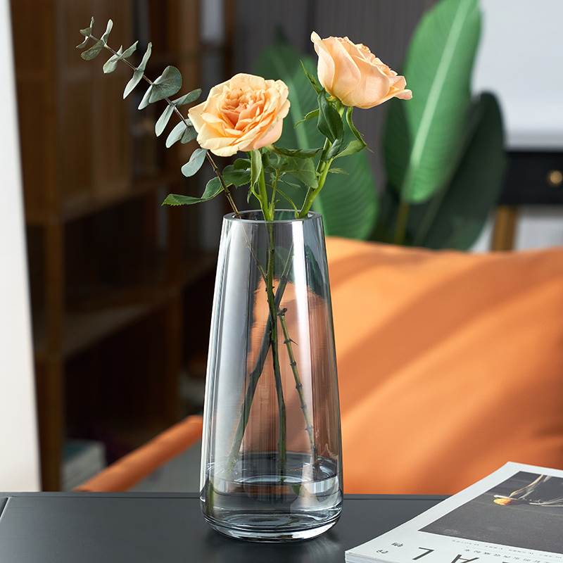 苏渠北欧ins风简约玻璃花瓶水培鲜花插花小花瓶客厅水养创意摆件 - 图1