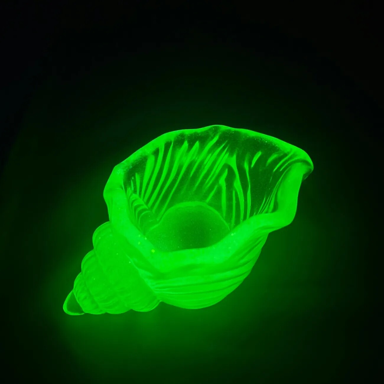 夜光海螺儿童发光玩具创意荧光摆件海星夜光石玩具桌面鱼缸送礼,淘宝优惠券,粉丝福利购,淘宝优惠卷