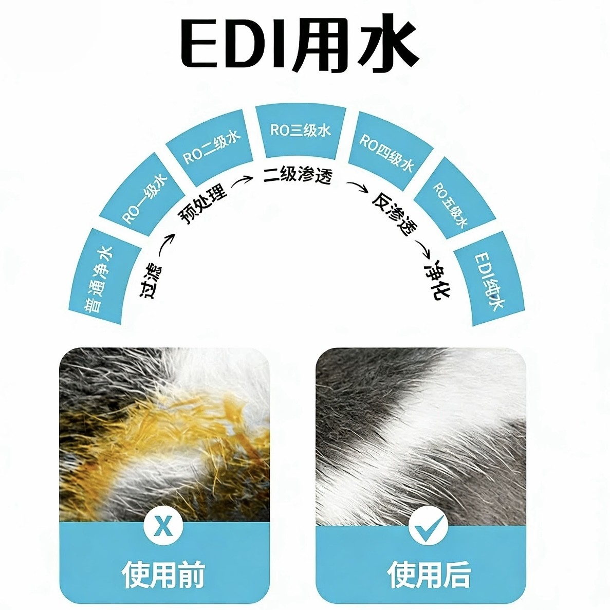 宠物免洗手套一次性清洁湿巾猫咪洗护手套狗狗专用免洗澡用品,淘宝优惠券,粉丝福利购,淘宝优惠卷