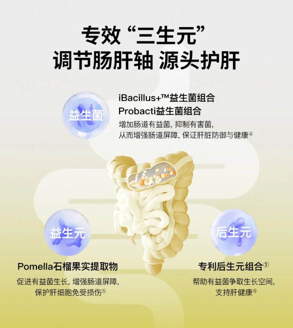 澳洲TheroNomic颂科护肝三生元益生菌胶囊60粒/瓶 双向护肝奶蓟草