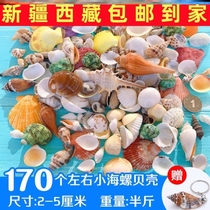 Xinjiang Tibet Natural Shells Sea Snail Sea Star Fish Tank Building Decoration Perforated Handmade Diy Wind Bells Drift