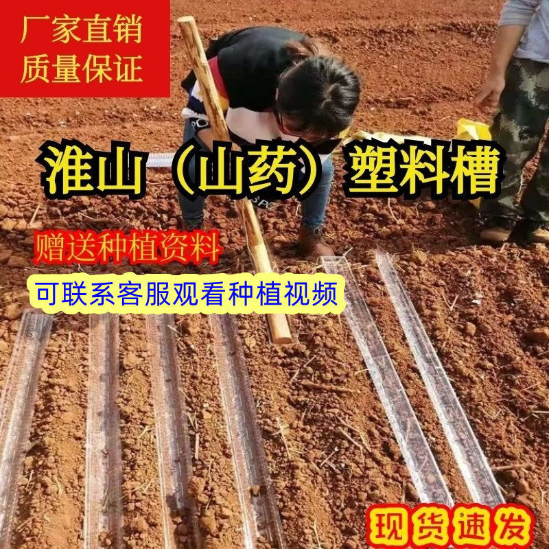 淮山种植槽种山药模具种淮山管淮山塑料槽种淮山模具山药浅生槽,淘宝优惠券,粉丝福利购,淘宝优惠卷