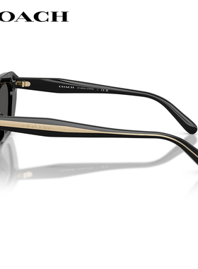 蔻驰时尚复古猫眼高级感墨镜男女