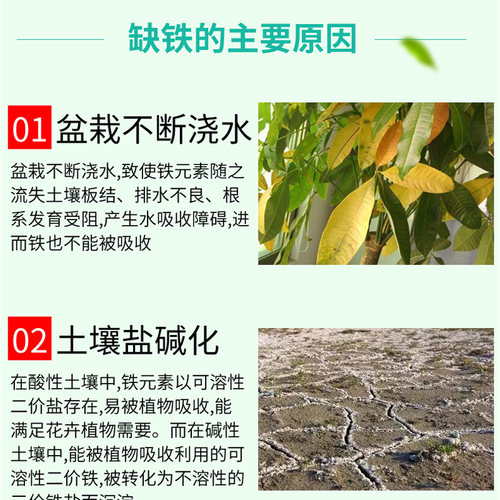 螯合铁肥水草铁肥有机复合叶面肥果树专用黄叶病氨基酸螯合铁肥料 - 图1