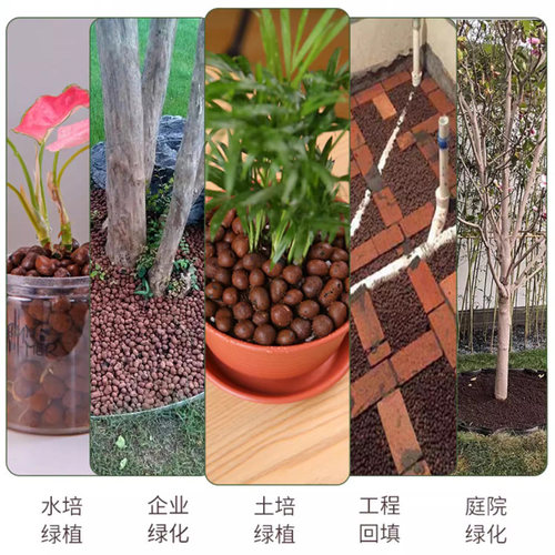 陶粒垫底陶粒养花专用陶粒花用铺面多肉种花陶粒土厂家直销小陶粒 - 图3