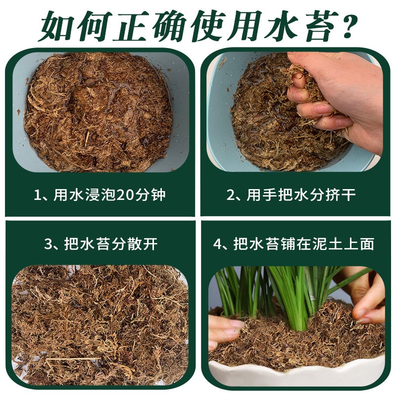 干水苔蝴蝶兰专用水苔兰花专用土兰草透气干苔藓石斛兰科球兰家用-图2