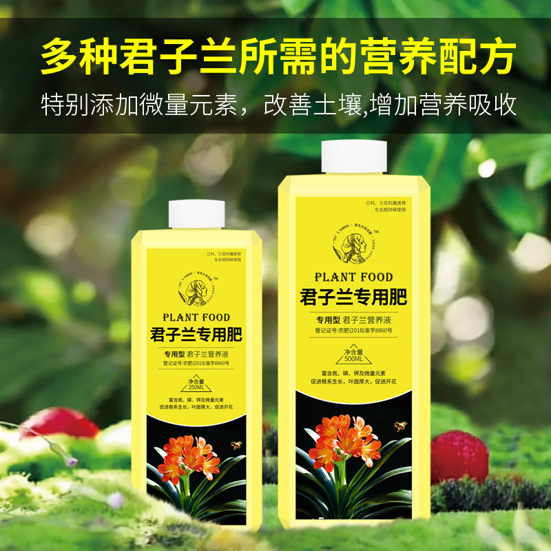 君子兰专用肥腰肥磷酸二氢钾肥料花卉兰花蝴蝶兰有机营养液促开花,淘宝优惠券,粉丝福利购,淘宝优惠卷