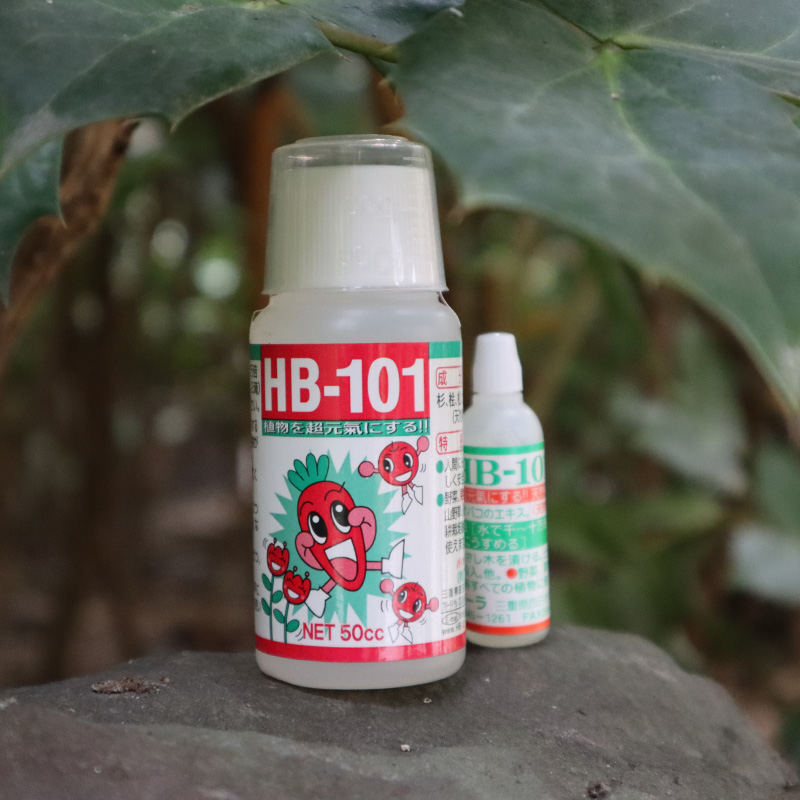 日本hb101活力素月季花多肉植物活力素浓缩营养液养花通用生长素-图1