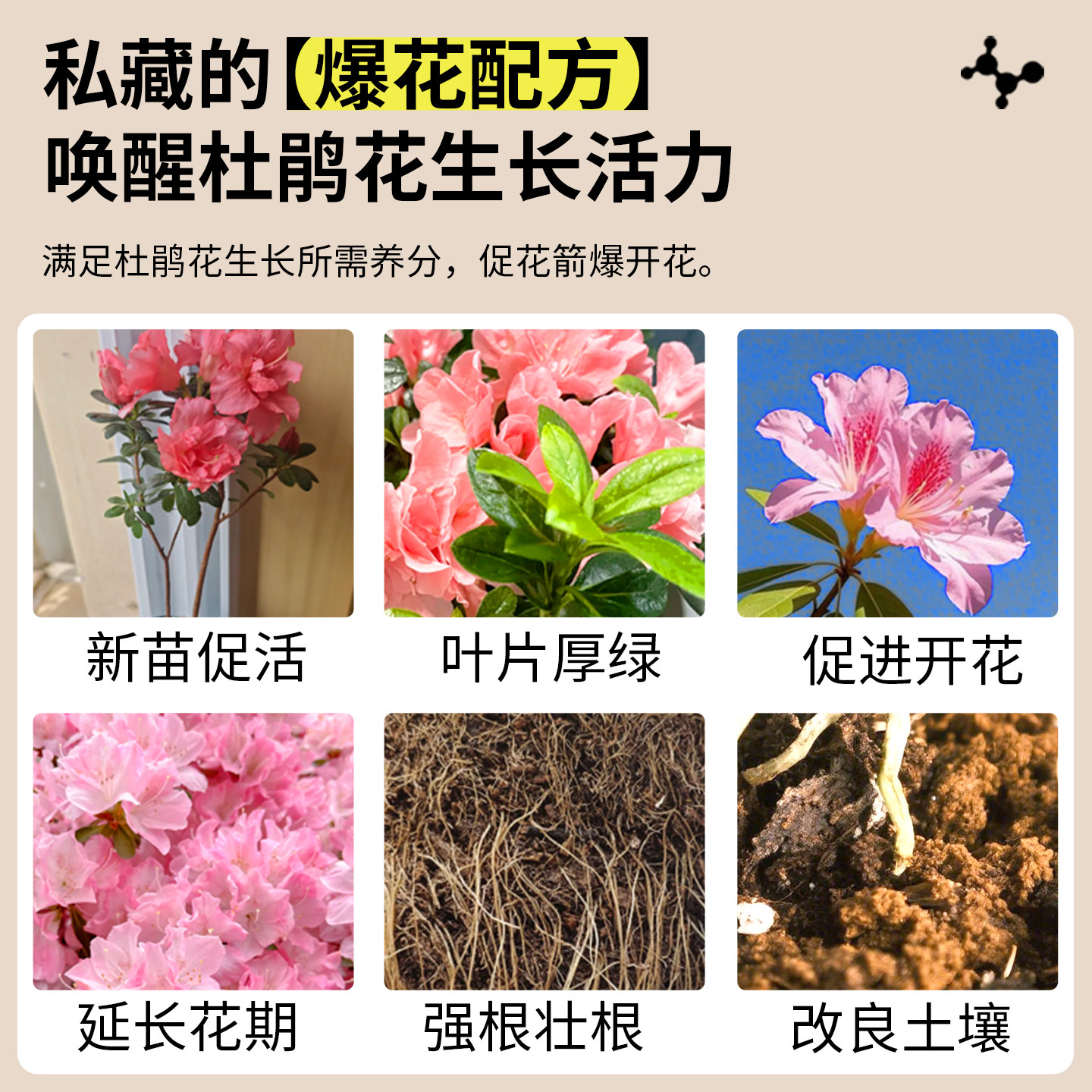 杜鹃花专用营养液室内盆栽花卉土壤调酸剂肥料杜鹃花专用肥促开花,淘宝优惠券,粉丝福利购,淘宝优惠卷