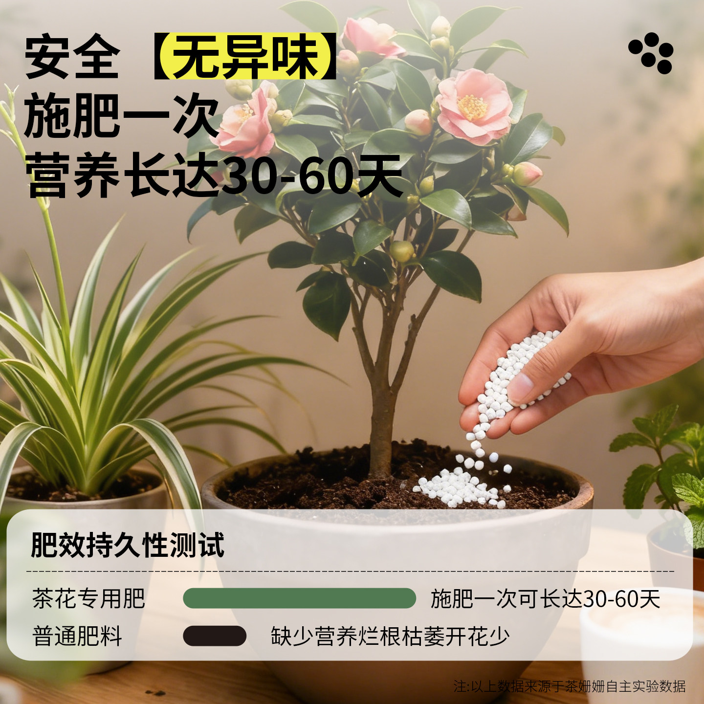 茶花专用肥促开花防黄叶山茶花肥植物营养肥料长效缓释养花颗粒肥,淘宝优惠券,粉丝福利购,淘宝优惠卷