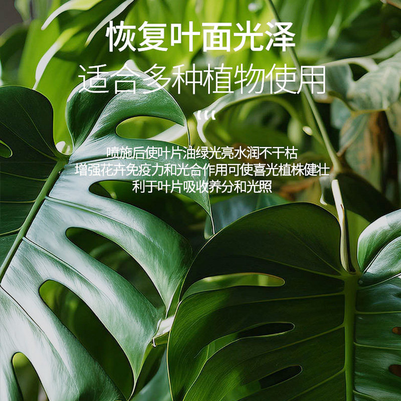 花卉除污亮叶剂一喷净除尘清洁剂除污剂植物营养液免稀释叶面肥料,淘宝优惠券,粉丝福利购,淘宝优惠卷