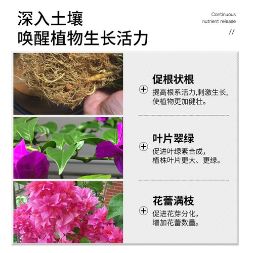 三角梅开花专用肥爆花促花施肥磷酸二氢钾肥料花卉专用颗粒缓释肥 - 图3