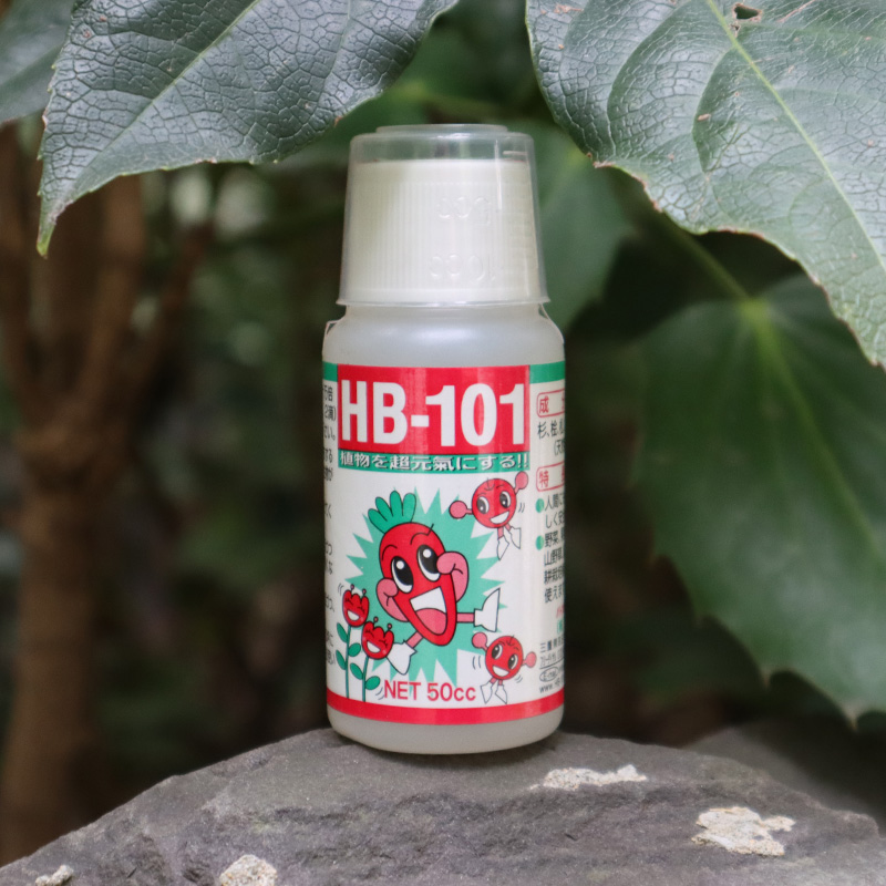 日本hb101活力素月季花多肉植物活力素浓缩营养液养花通用生长素-图0