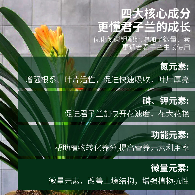 君子兰专用肥腰肥磷酸二氢钾肥料花卉兰花蝴蝶兰有机营养液促开花,淘宝优惠券,粉丝福利购,淘宝优惠卷