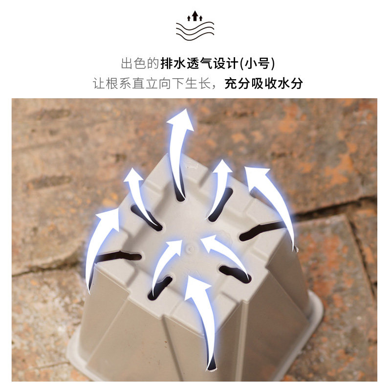 育苗盆塑料加厚家用营养杯育苗杯营养钵多肉叶插月季扦插育苗花盆,淘宝优惠券,粉丝福利购,淘宝优惠卷