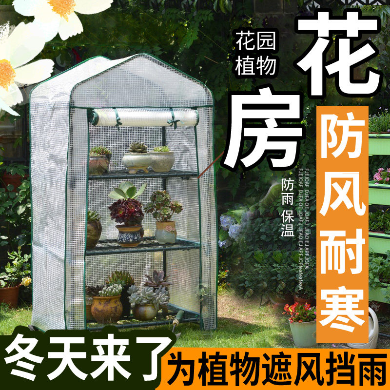 小温室花房迷你 新人首单立减十元 21年9月 淘宝海外