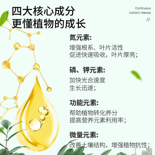 龟背竹专用肥肥料竹科植物营养液室内盆栽通用型浓缩液体肥花肥料 - 图2