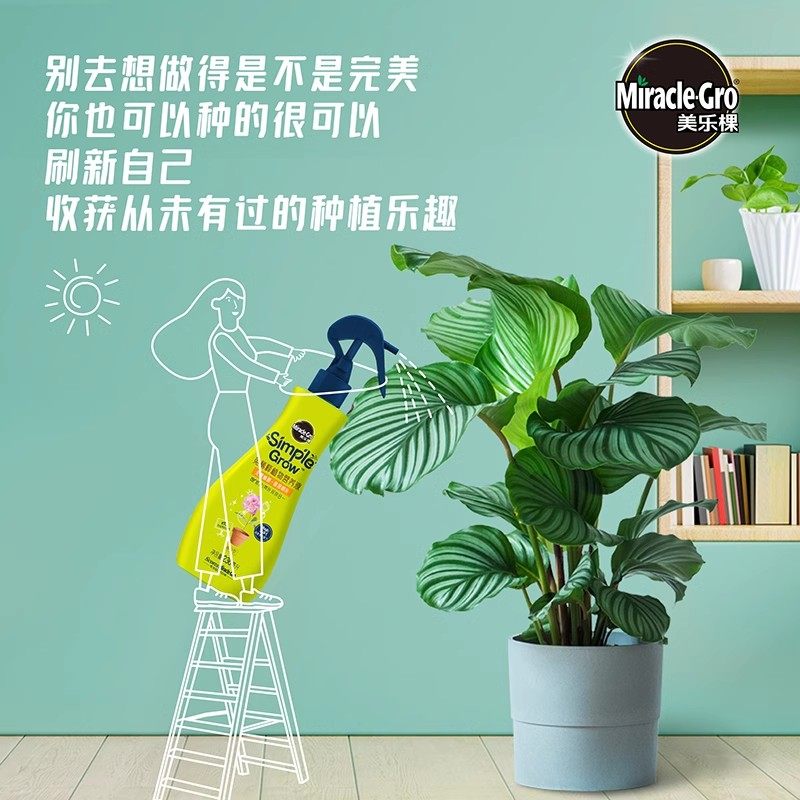 美乐棵免稀释植物营养液通用型养花喷施多肉盆栽发财树巴西木专用,淘宝优惠券,粉丝福利购,淘宝优惠卷