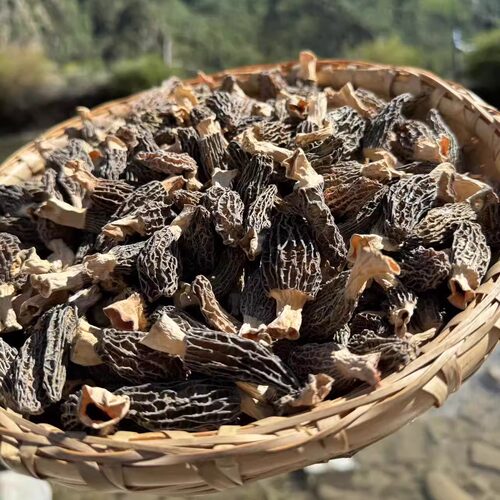西藏野生羊肚菌林芝波密高海拔西藏直发新采头茬羊肚菌干货500g - 图0