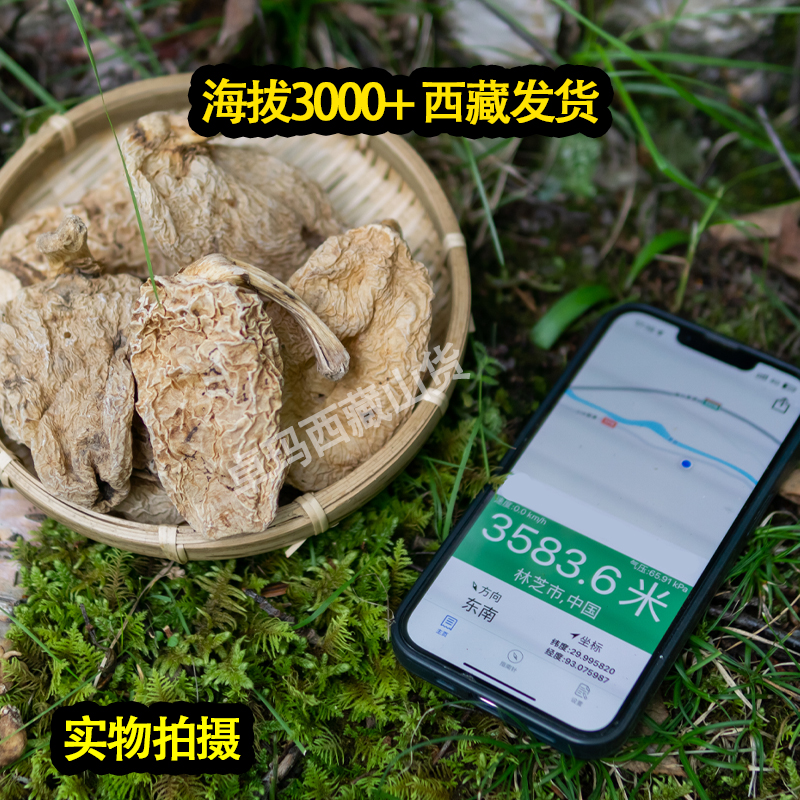 西藏天麻西藏高海拔正宗西藏天麻500g中药切片打磨粉头疼晕藏天麻-图0