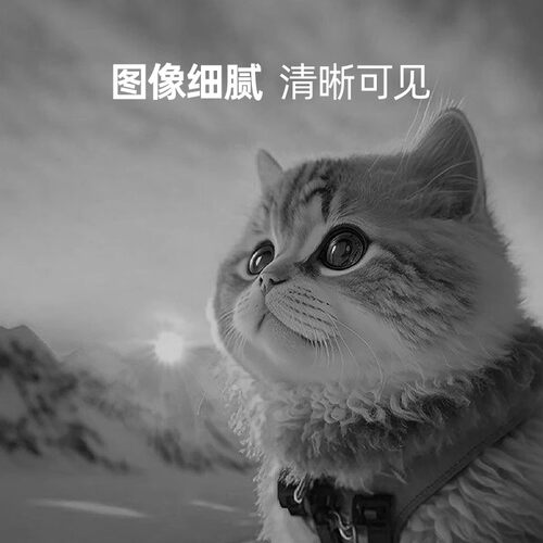 兄弟原装TN-118粉盒DCP-L1618W DCP-L1638W DCP-L1848W HL-L1228 HL-L1238W HL-L1808W墨粉盒粉仓打印机 - 图0