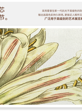 瓦简蝶恋花美式复古装饰画