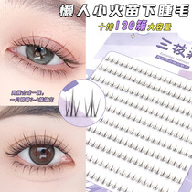 Double Tuft Transparent Stalk Small Fire Seedling Lower Eyelash Moms Raw Sensation New Hand Nature Large Capacity Sectional Single Cluster False Eyelash