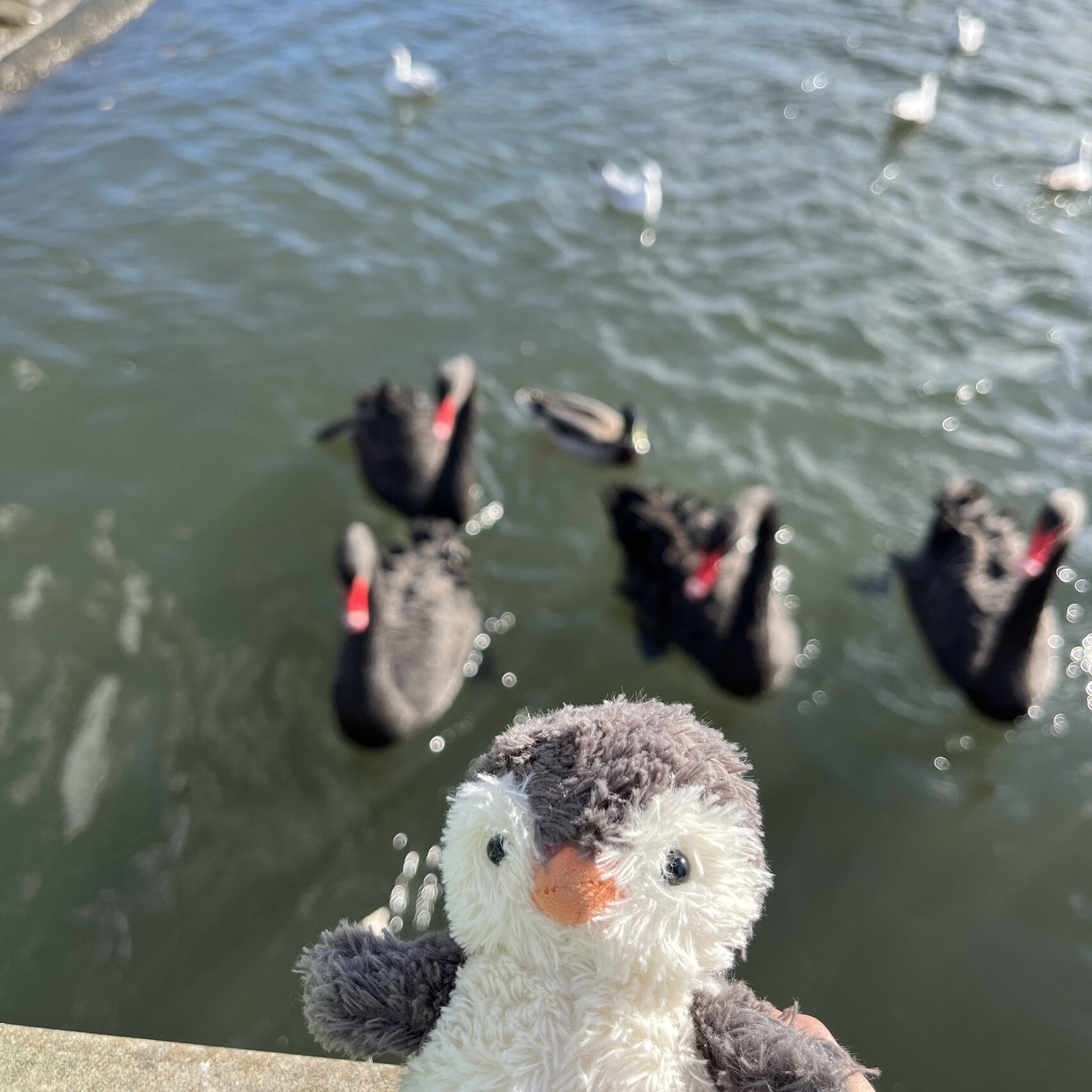 英国正品jELLYCAT花生企鹅珀西毛绒玩偶儿童玩具可爱陪伴公仔送礼 - 图0