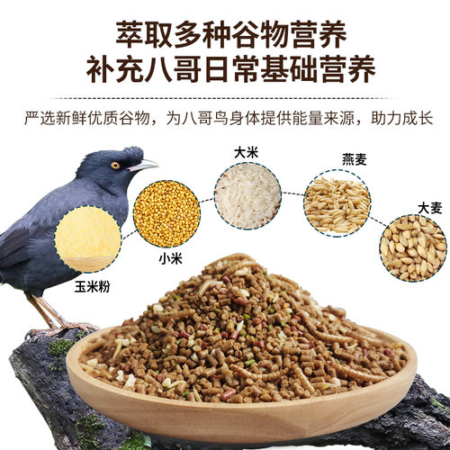 开元全价八哥鸟食饲料林八哥鸟粮黑八海八哥鹩哥营养专用鸟料食料 - 图1