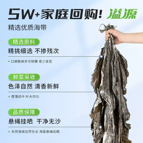溢源海带干货海带头非特级特厚昆布商用海带丝煲汤凉拌日晒干海带 图片 2