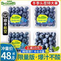 (Shunfeng Airlines) Yie berries blueberry when season limited edition huge fruit Yunnan blueberry whole box Driscolls
