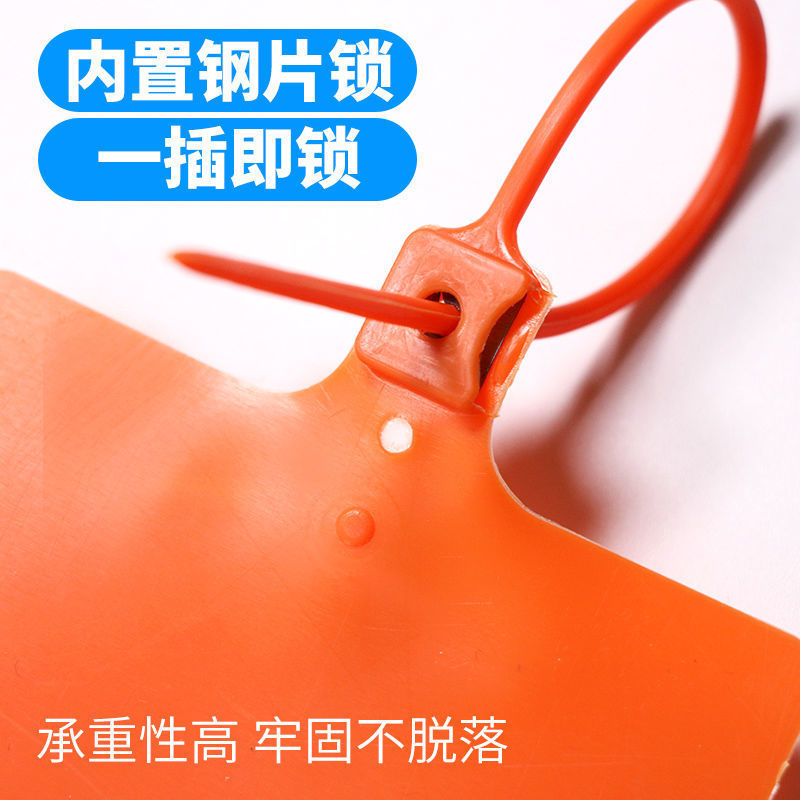 一体式物流吊牌挂签加长塑料标快运封条安能彩色塑料塑料封耐高温-图2
