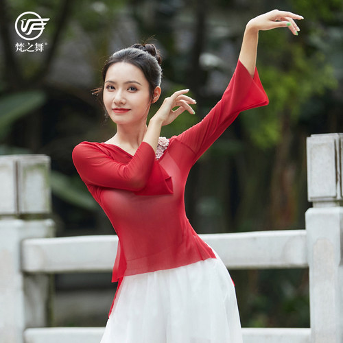 古典舞蹈练功服女飘逸身韵纱衣短款喇叭网纱上衣跳舞专用夏季新款 - 图1