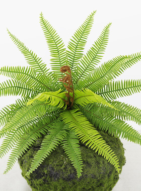 仿真蕨类绿植盆栽客厅家