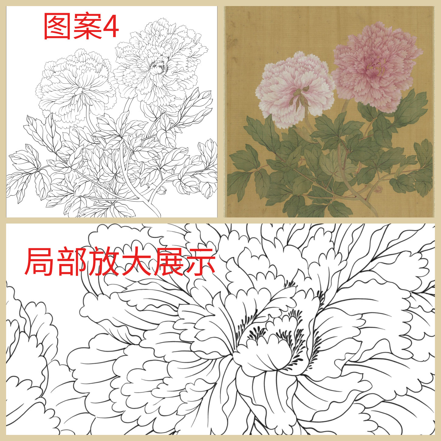 单选】工笔画打印白描底稿斗方牡丹花卉高清板绘线描初学者临摹,淘宝优惠券,粉丝福利购,淘宝优惠卷