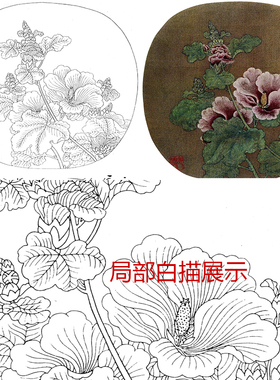 一套初学者临摹上色练习工笔画