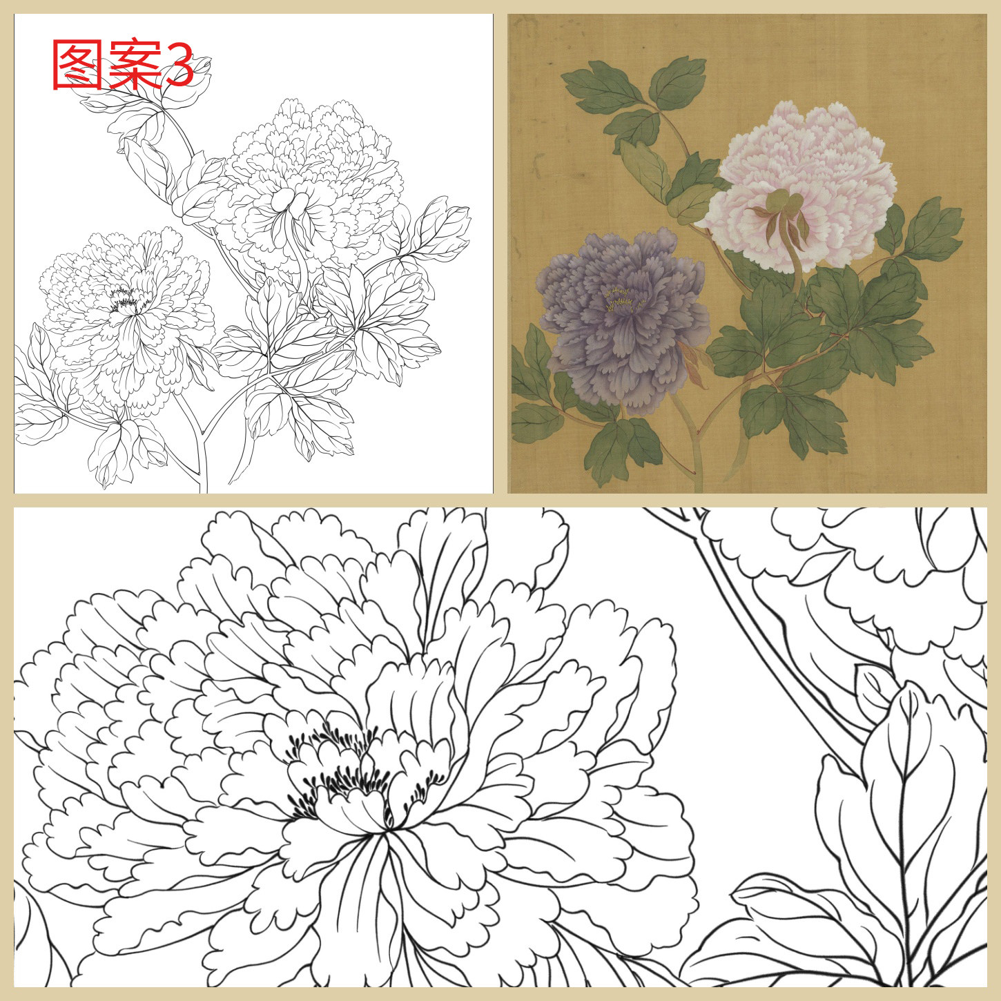 单选】工笔画打印白描底稿斗方牡丹花卉高清板绘线描初学者临摹,淘宝优惠券,粉丝福利购,淘宝优惠卷