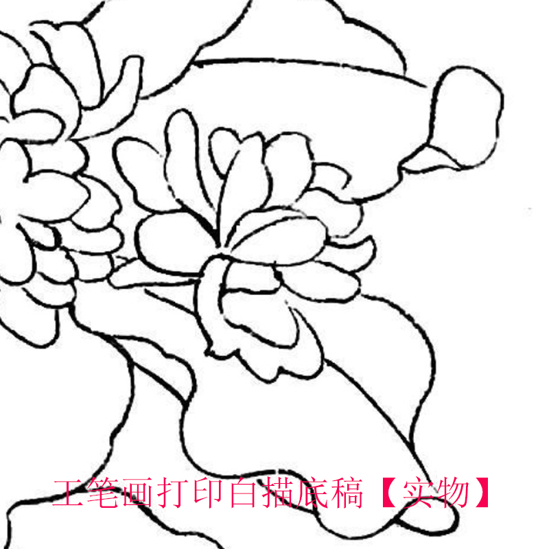 工笔画打印白描底稿宋赵昌《茉莉花图》临摹初学者线描过稿素材-图1