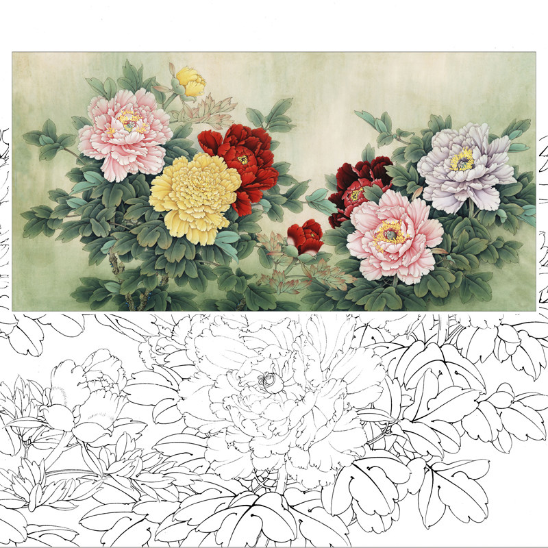 [有步骤】工笔画打印白描底稿李晓明横幅牡丹初学者临摹宣纸过稿,淘宝优惠券,粉丝福利购,淘宝优惠卷