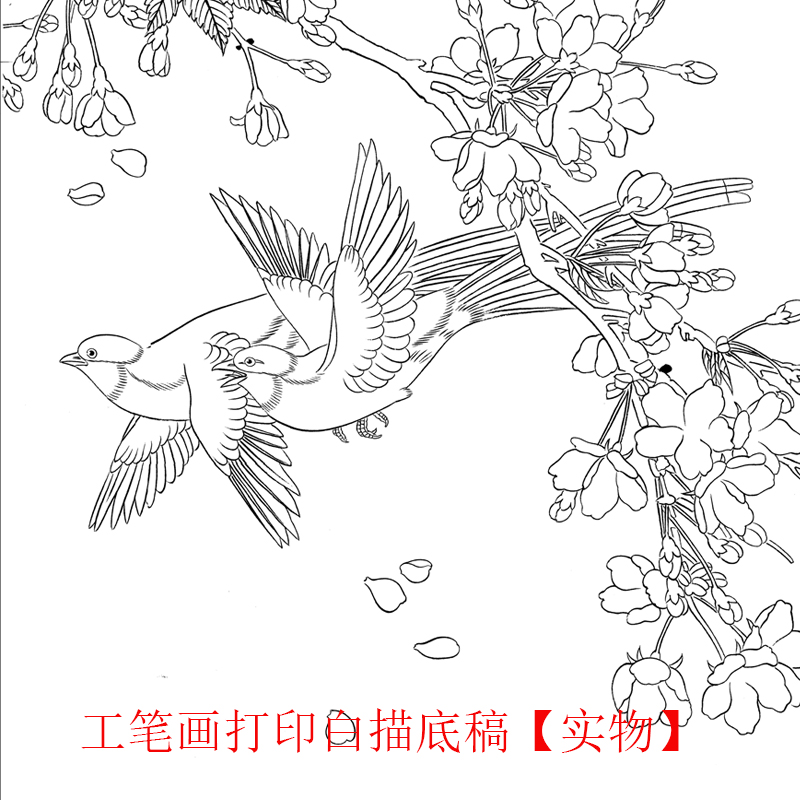 国画工笔画打印白描底稿竖幅喻继高花鸟初学者临摹勾线过稿上色练 - 图0