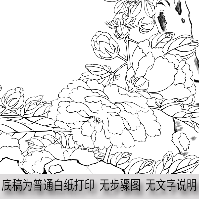 S144工笔画打印白描底稿竖幅花鸟高清线稿初学者临摹过稿上色练习 - 图1