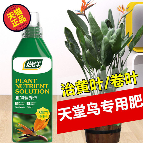 天堂鸟专用营养液龟背竹琴叶榕鹤望兰大型绿叶植物养花肥料通用型 - 图1