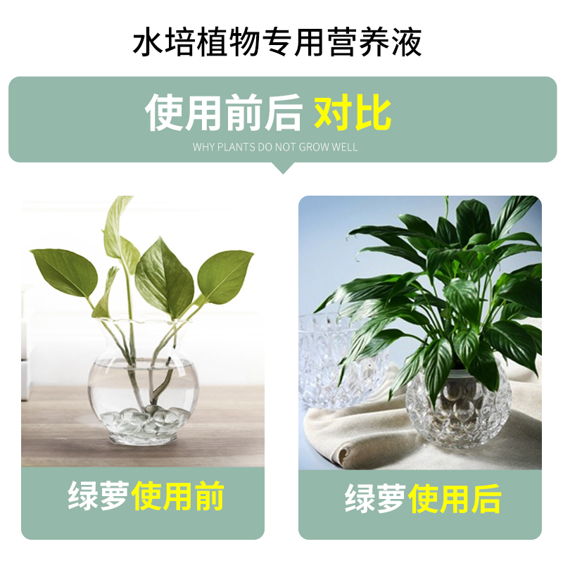 水培植物营养液专用肥料水养绿萝铜钱草富贵竹养花肥料盆栽通用型-图1