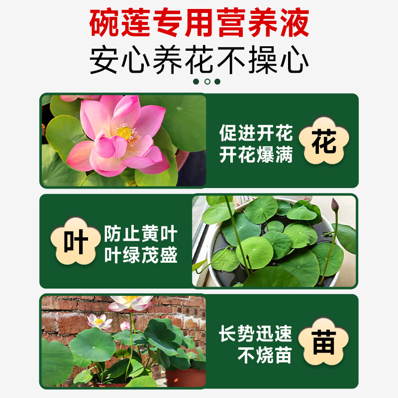 碗莲专用营养液水培植物睡莲花荷花促进开花的肥料土培通用水溶肥,淘宝优惠券,粉丝福利购,淘宝优惠卷