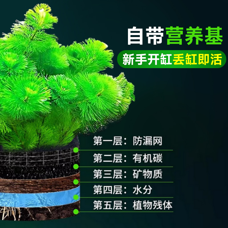 商品详情图片
