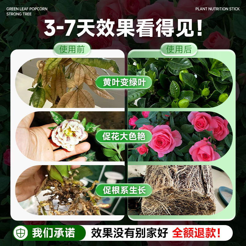 植物营养棒缓释肥养花通用型家用盆栽复合肥花卉植物正品蔬菜肥料,淘宝优惠券,粉丝福利购,淘宝优惠卷