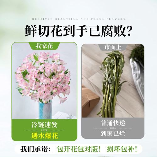 水仙百合鲜花六出花鲜切花卉插花材家用水养水培多头插瓶六初花束 - 图0